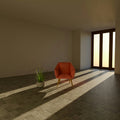 Introductory Consultation